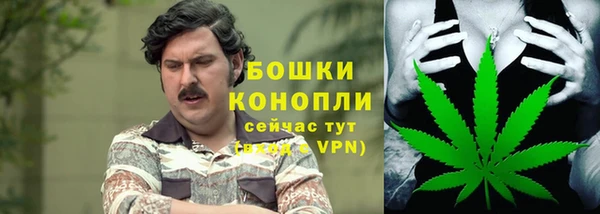 мескалин Гусев