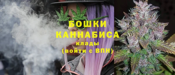 2c-b Гусь-Хрустальный