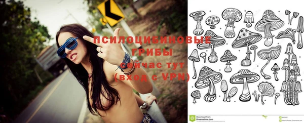 мескалин Гусев