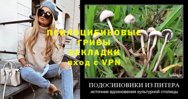 2c-b Гусь-Хрустальный