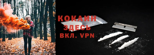 мескалин Гусев